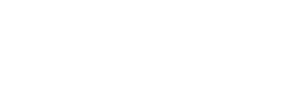 safeguard global